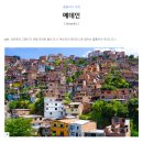 기범농장 | 콜롬비아 메데진 여행 5,6일차 - 부제: 여행은 즐거워, 커피농장도