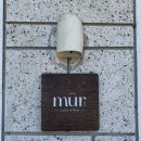 하예로 | 제주 뮈르 , 서귀포 감성 브런치 카페 ! 내돈내산 솔직후기