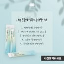 인셀덤 월드스타