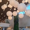 (주)자라나는씨앗 | 마곡 서울식물원 아기랑 방문 후기