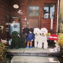 이쁜멍멍이 이미지