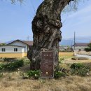 용방면사무소 앞 이미지