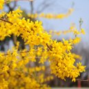 평생학습센터 분관 이미지