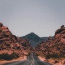 은행나무사거리3 이미지