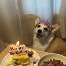 패밀리 죤 헬스 | 6월 • 맛있는걸로 살찌다니 럭키비키잖아?