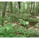 오월농장 이미지