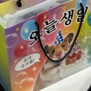 똥강쥐 | 1월 -2월 일상 / 일상블로그