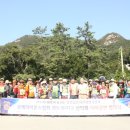 강진시장 이미지