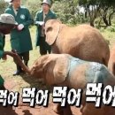 청와옥 본점 이미지