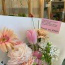 사전6-1 안길 이미지