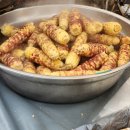 진부약국 | 기억해 2026 설날