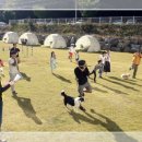 푸른바다독스쿨 이미지