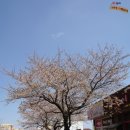 아프리카 박물관 이미지