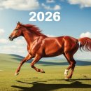 적토마 짐 이미지