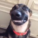 전진메탈(주) | 30 페스티벌 - Final Stage with 크라잉넛 / 오이스터즈 / 스킵잭 / 크랙샷 상상마당 라이브홀 콘서트 후기