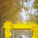 나무랑숲 이미지