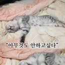 하오 - 의정부시 경의로 192 | 하오