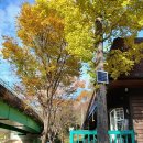 영남 알프스 펜션 | 울산펜션 영남알프스 등산하고 힐링한 가을 여행하고 왔어요