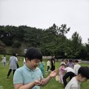 ♡포충사 전통놀이🪁♡ 이미지