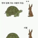 토끼와거북이 이미지