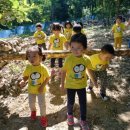 샛별아이 이미지