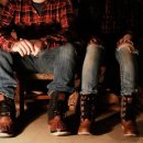 소렐(Sorrel) 이미지