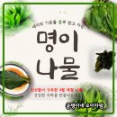 농심퇴비 | [공지] 강원도 유기농 자연산 노지 생명이나물 사전예약 주문 받아요