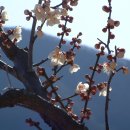 송광농장 이미지