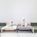 보니블루펜션 이미지