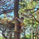 주산초병설유치원 이미지