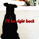 다시올게 이미지