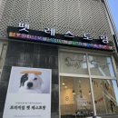 포지티브 보울 네이버블로그