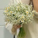 [W.13] 세미웨딩촬영 리얼 후기 (업체 및 견적 정리)