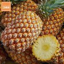 고씨네 농장 이미지