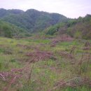 갑천농장 이미지