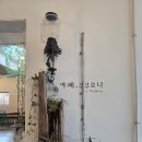 카페쿠쿠오나 | 통영 산양면 감성 카페 정원이 있는 카페 쿠쿠오나