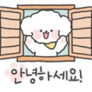 더샵채널공인중개사사무소 이미지