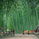 대나무공원 화장실 이미지