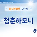 실버스타-K  in 강원 이미지