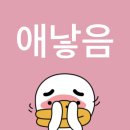 사랑한다, 멍 | 2026 서울 퀴어퍼레이드 및 GMMTV BLUSH BLOSSOM FAN FEST 후기(+공간 멍 후기)