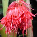 대한의사협회 주수호 '의료업계 스피커' 튀는 패션으로 화제 이미지