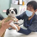 제일동물병원 이미지