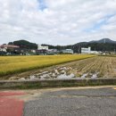 성민유치원 이미지