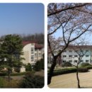 중앙대학교 이미지