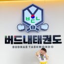 버드내 태권도 이미지