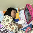 슬기로운유라생활 이미지