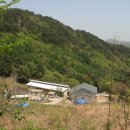 대규농장 이미지