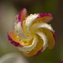 주공부동산뉴스공인중개사사무소 이미지