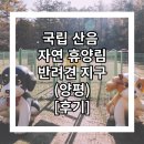 안골길 45 | 국립 산음 자연휴양림(양평) - 반려견 지구 - 아이와 댕댕이와 함께