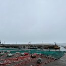 월심이네 이미지